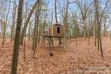 6157 Egypt Forest Road - Photo 51