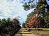 2498 Five Mile Road - Photo 36