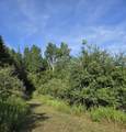 7202 21 Mile Road - Photo 56