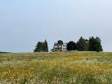 8885 Burmeister Road - Photo 48