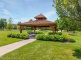 24374 Terra Del Mar Drive - Photo 65