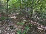 Lot #6 Bellinger Road - Photo 23