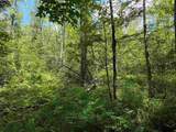 5333 Wintergreen Trail - Photo 33