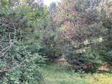 V/L-20A-M/L Mayhew Road - Photo 8