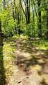 11870 Bayer Rd. Road - Photo 66