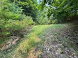 Lot #4 Bellinger Road - Photo 9