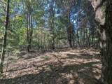N/A Forest Lake Drive - Photo 6