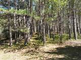319 Lund Road - Photo 43