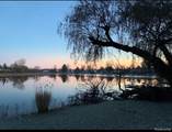 16280 Softwater Lake Drive - Photo 35