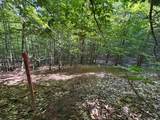 Lot #6 Bellinger Road - Photo 30