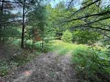 Lot #4 Bellinger Road - Photo 22