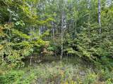 Lot 4 Old Mountain Road - Photo 10