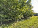 Lot 4 Old Mountain Road - Photo 8