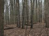 Lot 40 Squirrel Run - Photo 5