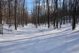 0 Schomberg Road - Photo 10