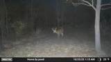 8885 Burmeister Road - Photo 50