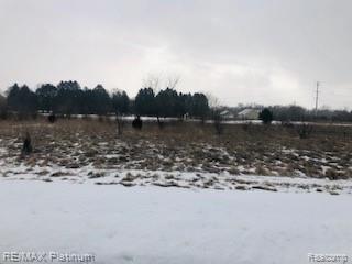 L-53 Gecko Trail - Photo 1