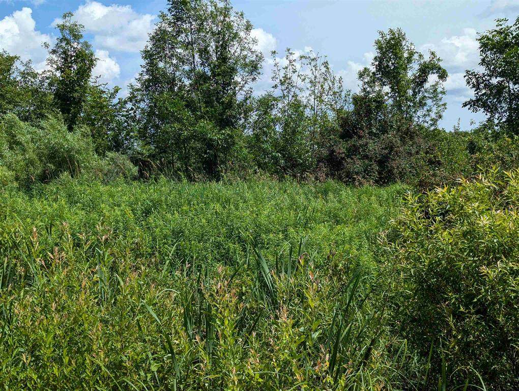 N/A Crosby Road - Photo 1