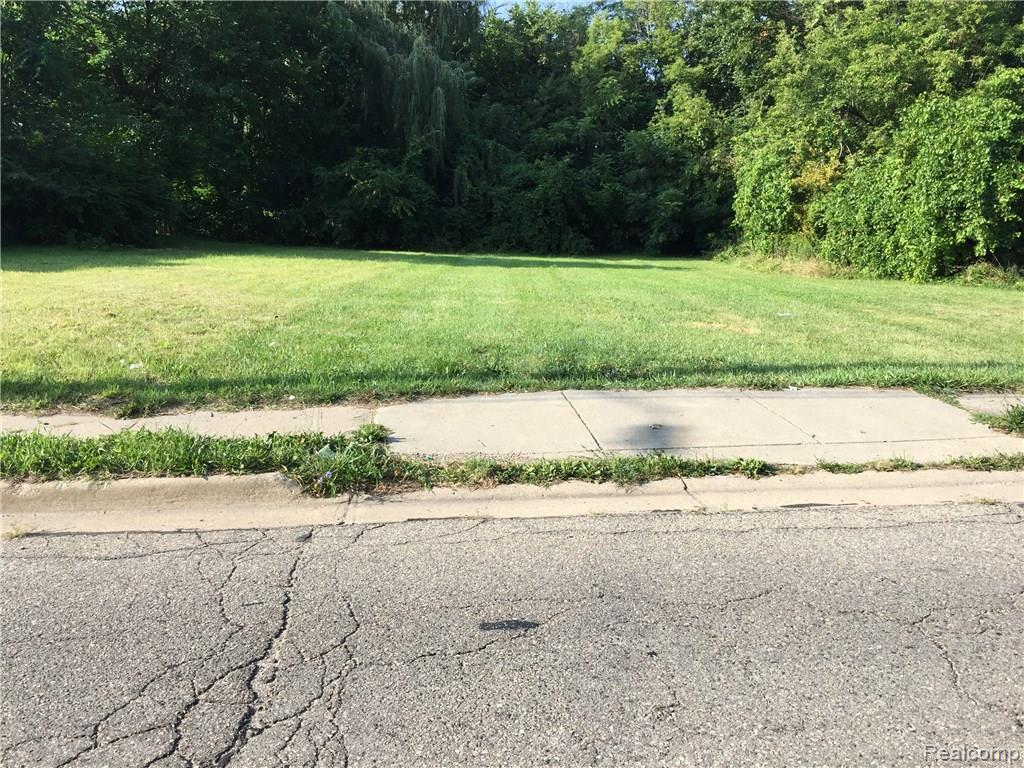 403 Voorheis Street - Photo 1