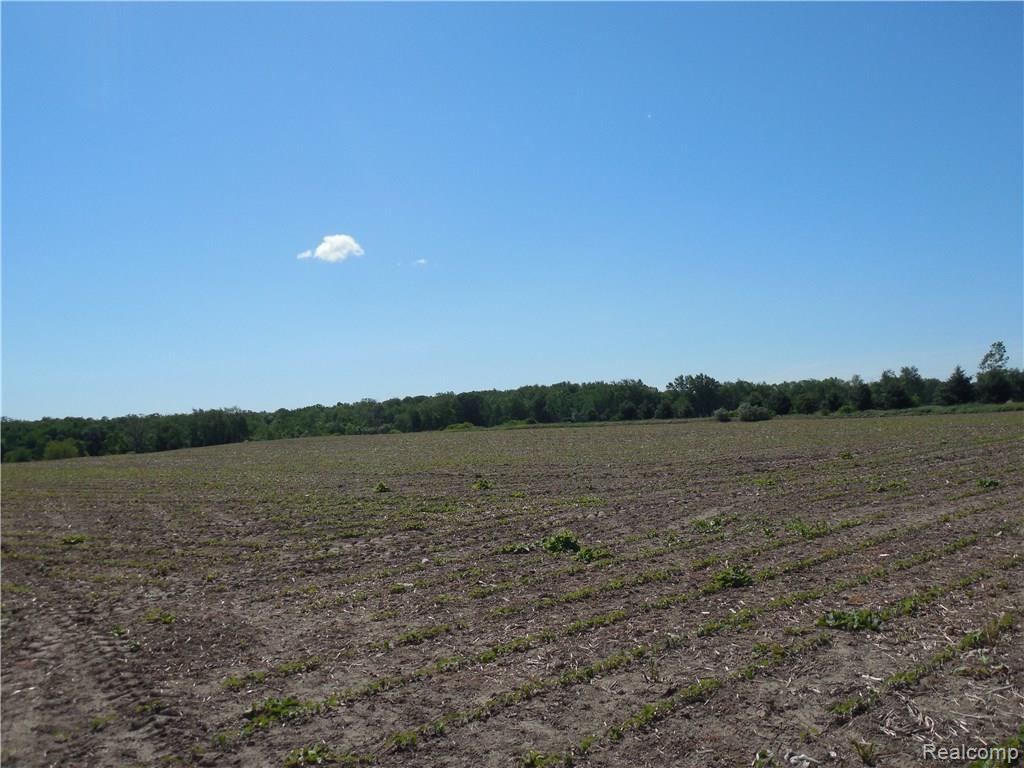 Fowlerville Rd D Fowlerville Road - Photo 1