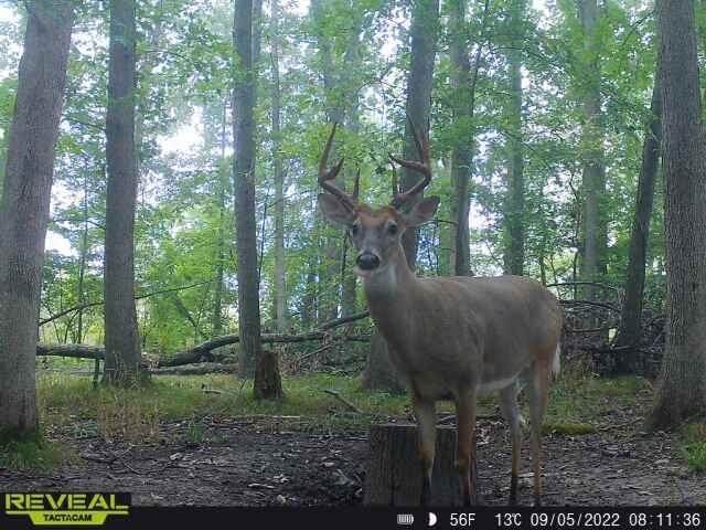 9159 Moreland Road - Photo 1