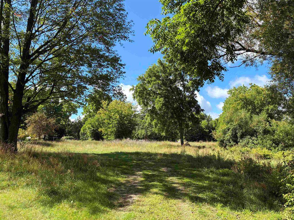 330 Pollard - Photo 1