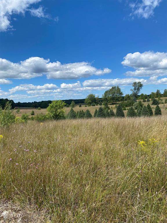 17.5 A Creighton Road - Photo 1