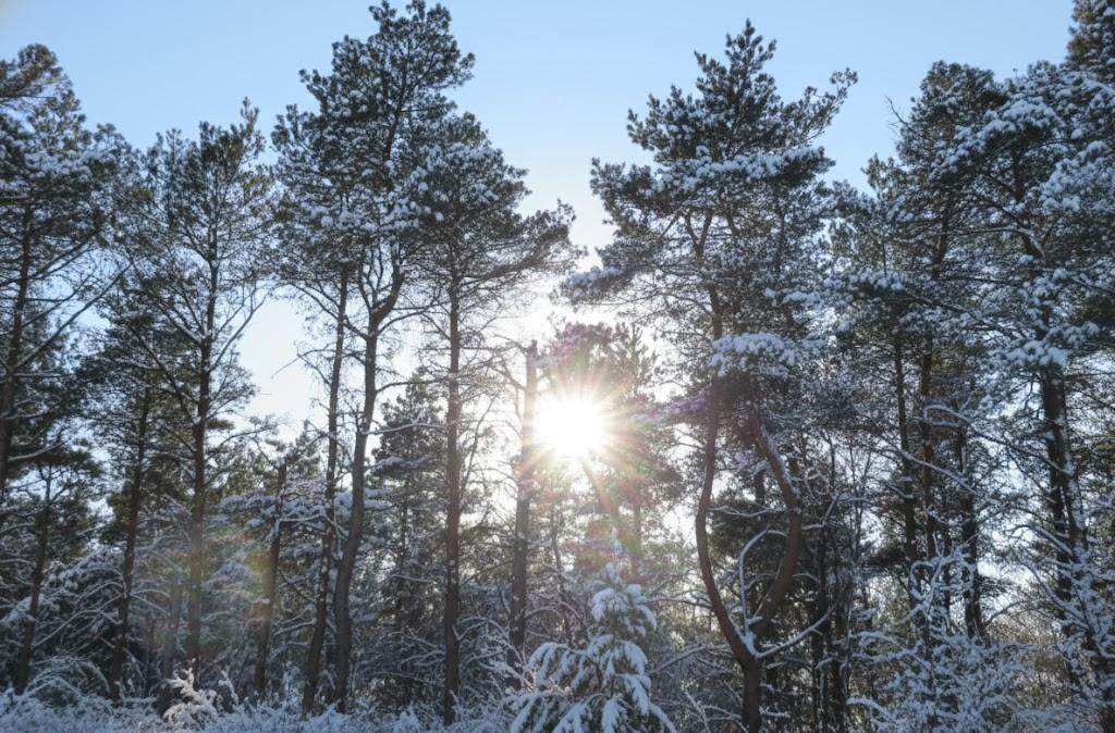 Parcel F-3 2 1/2 Road - Photo 1