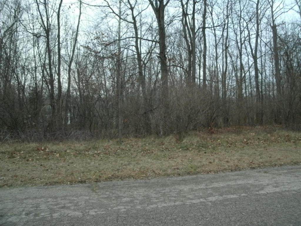 0 Valley View Drive - Photo 1