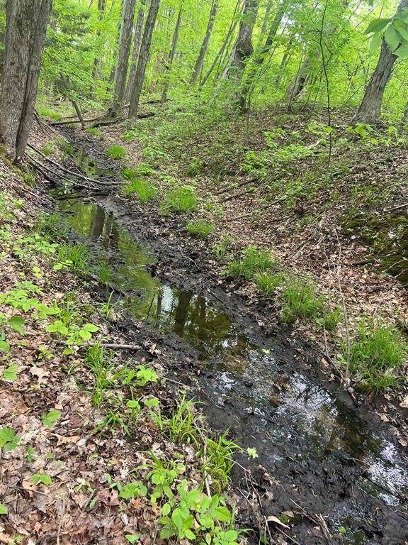 V/L Hawkins Road - Photo 1