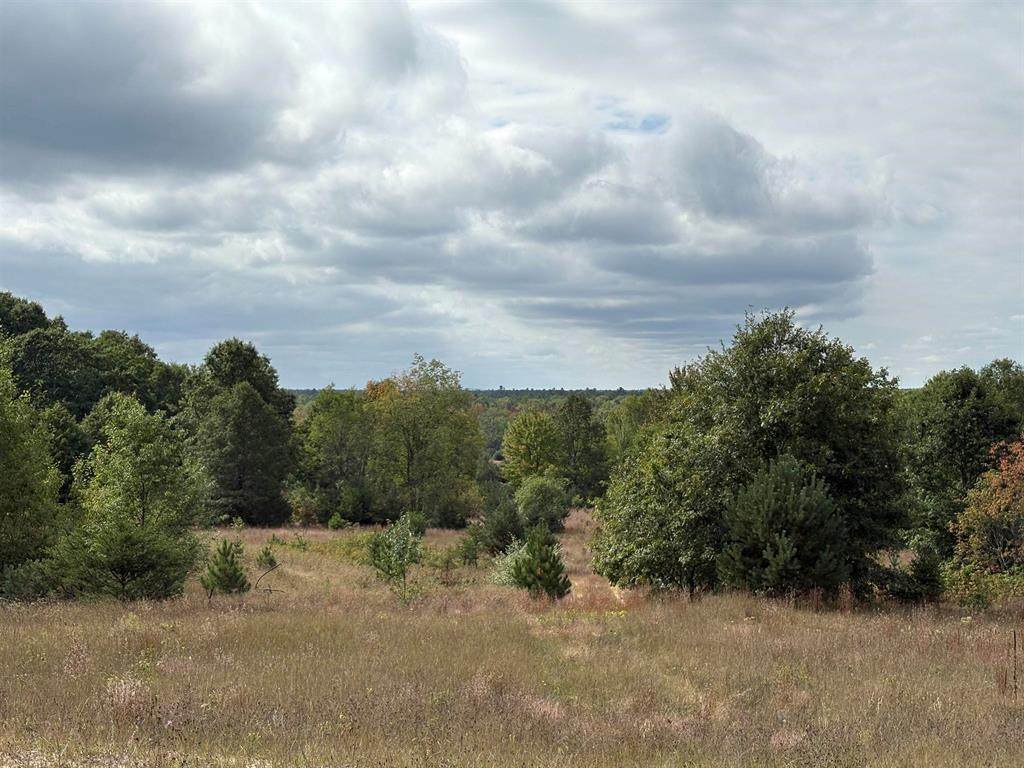 7267 Snyder Road - Photo 1