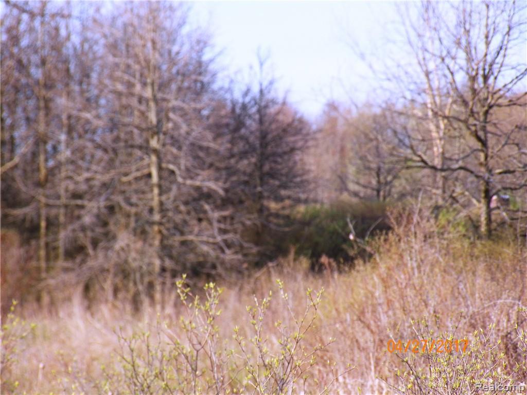 0 Speaker Road - Photo 1
