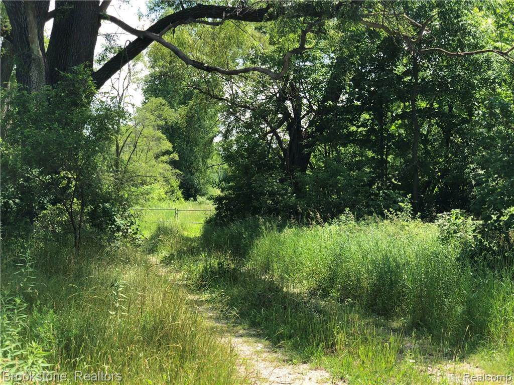 0 26 Mile Road - Photo 1