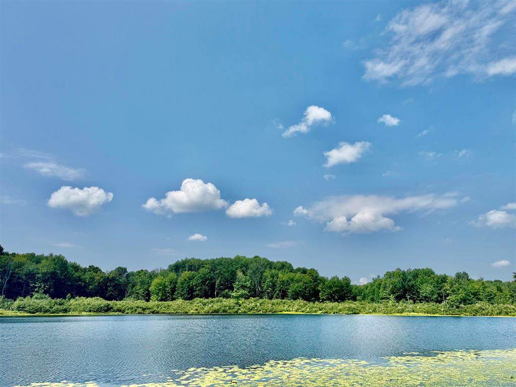 https://bt-photos.global.ssl.fastly.net/michigan/orig_boomver_19_652637582-2.jpg