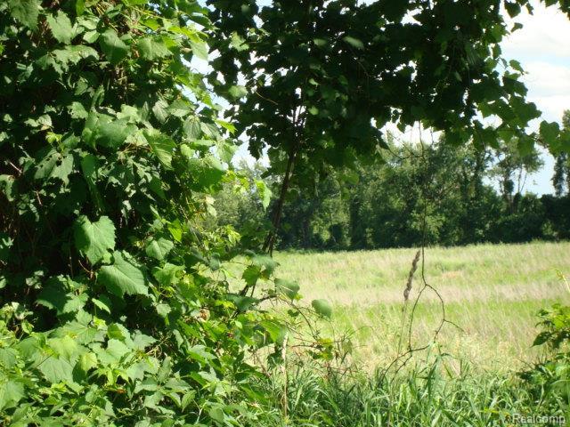 1 Parks - Photo 1