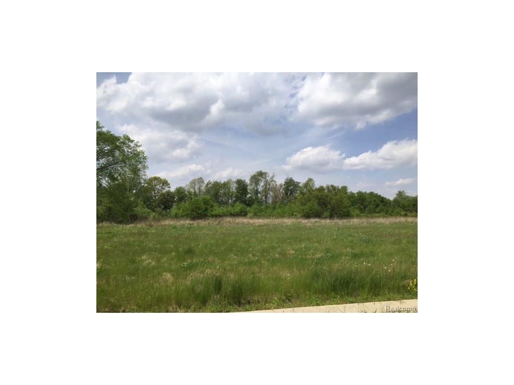 0 Adelines (Lot 22) Way - Photo 1