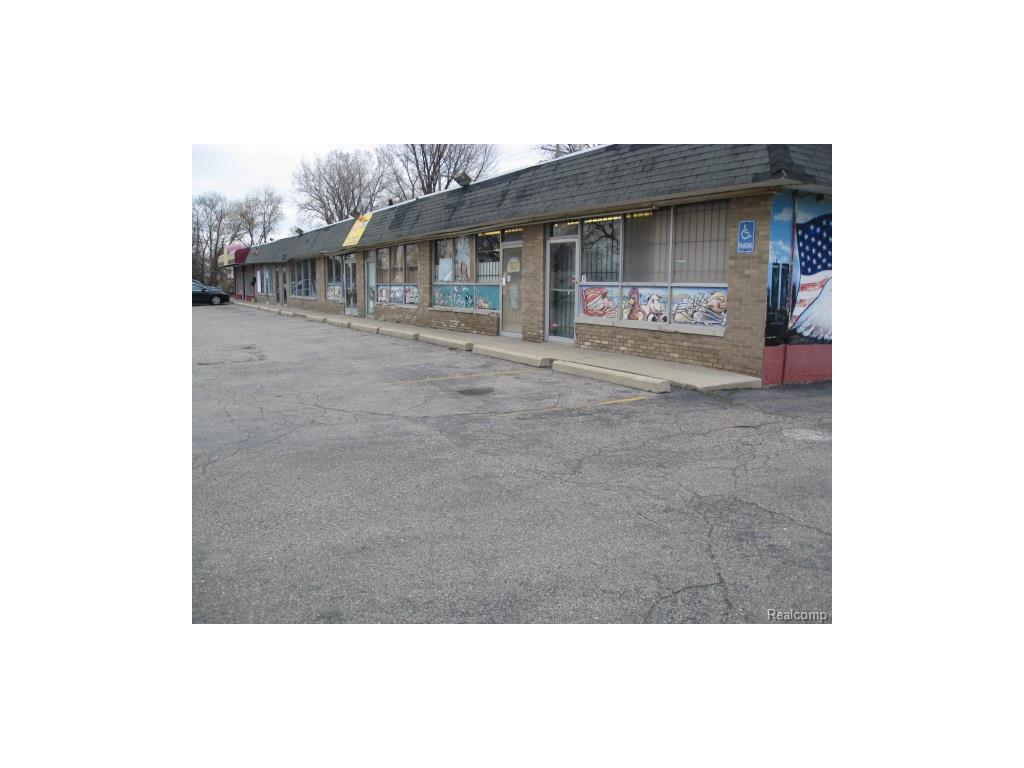 25119 Ecorse - Photo 1