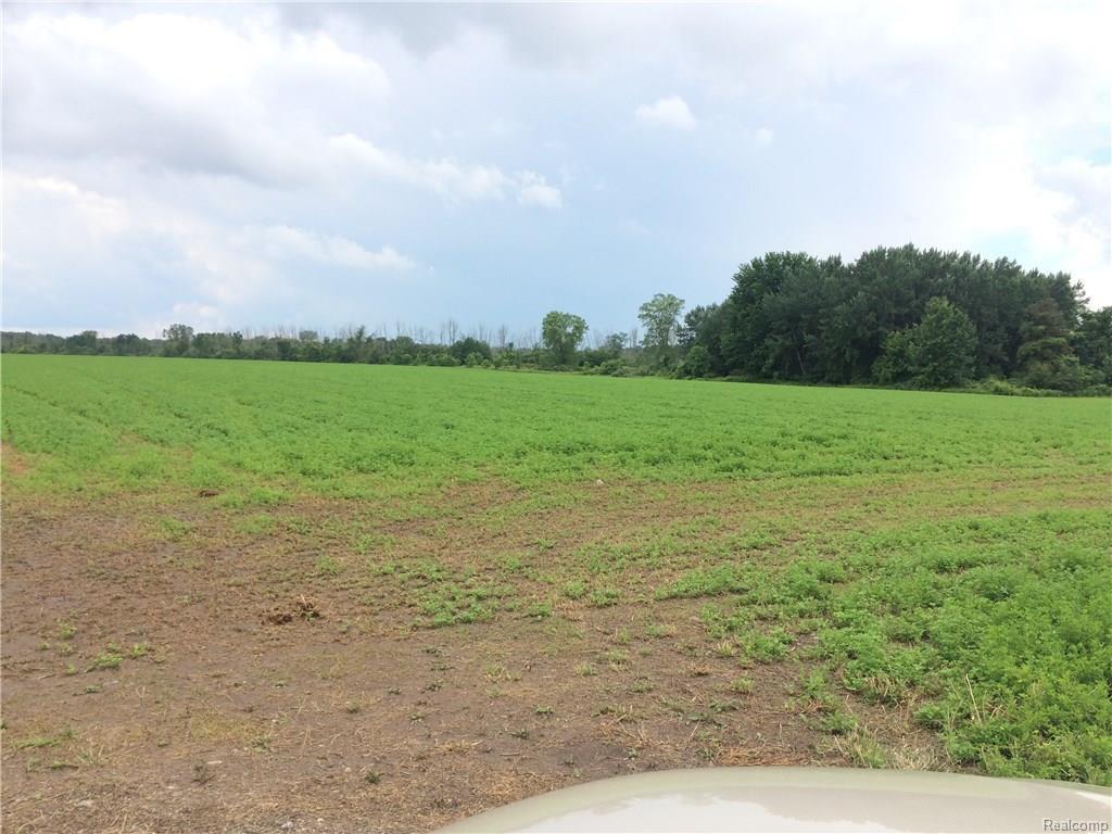 6090 Galbraith Line Road - Photo 1