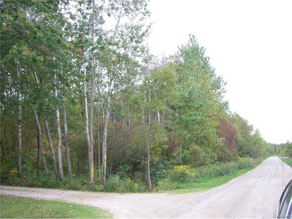 TBD Hillock Drive - Photo 1