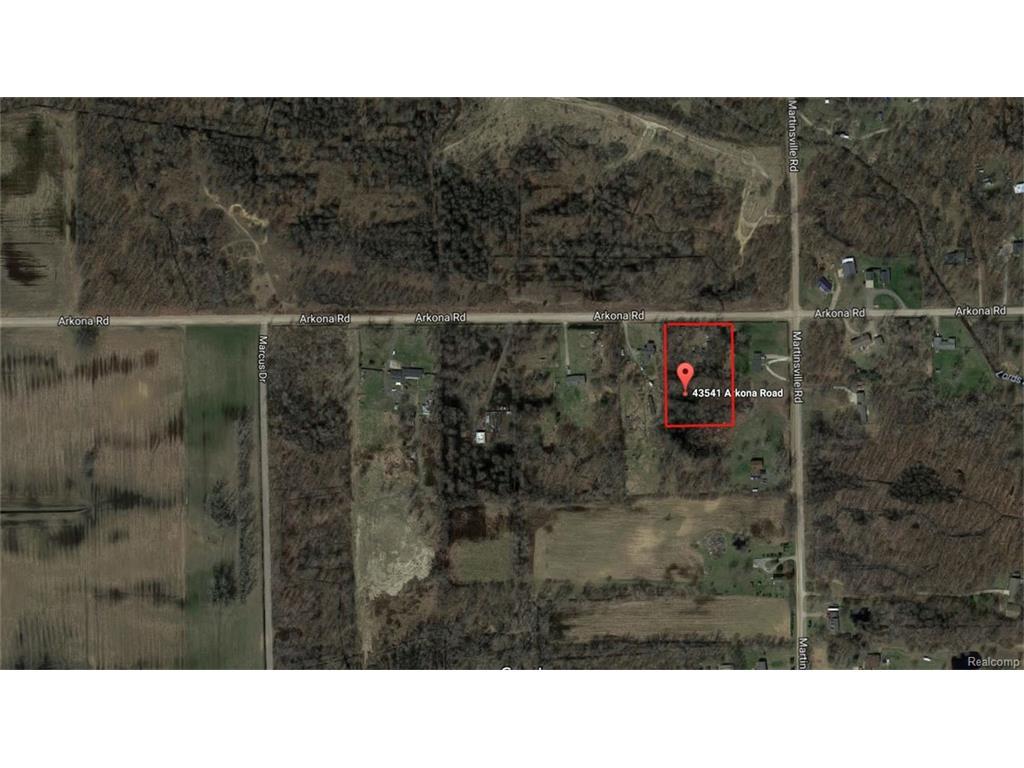 43541 Arkona Road - Photo 1