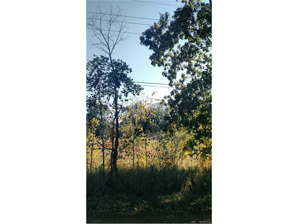 Lot 1 12 Mile - Photo 1