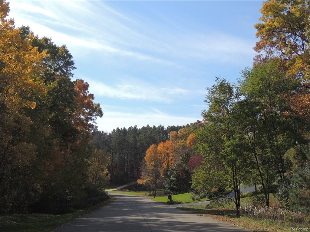8176 Walkabout Way - Photo 1
