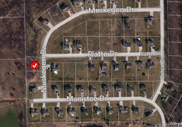 1399 Muskegon Drive - Photo 1