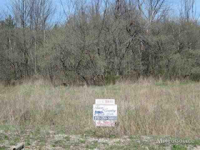 0 Lot # 14 Madison - Photo 1