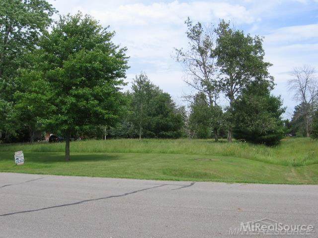 00 Wild River Lot 12 - Photo 1 00 Wild River Lot 12 - Photo 1