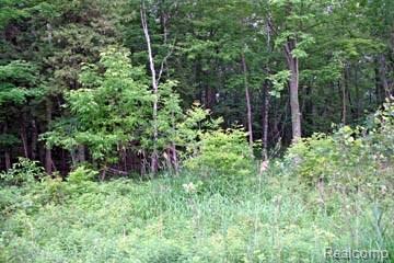 8130 Stagecoach Trail Lot 5 - Photo 1