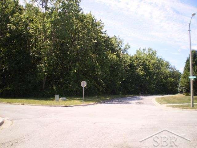 3235 Cabaret Trail - Photo 1