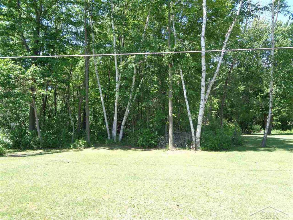 2900 Curtis - Photo 1