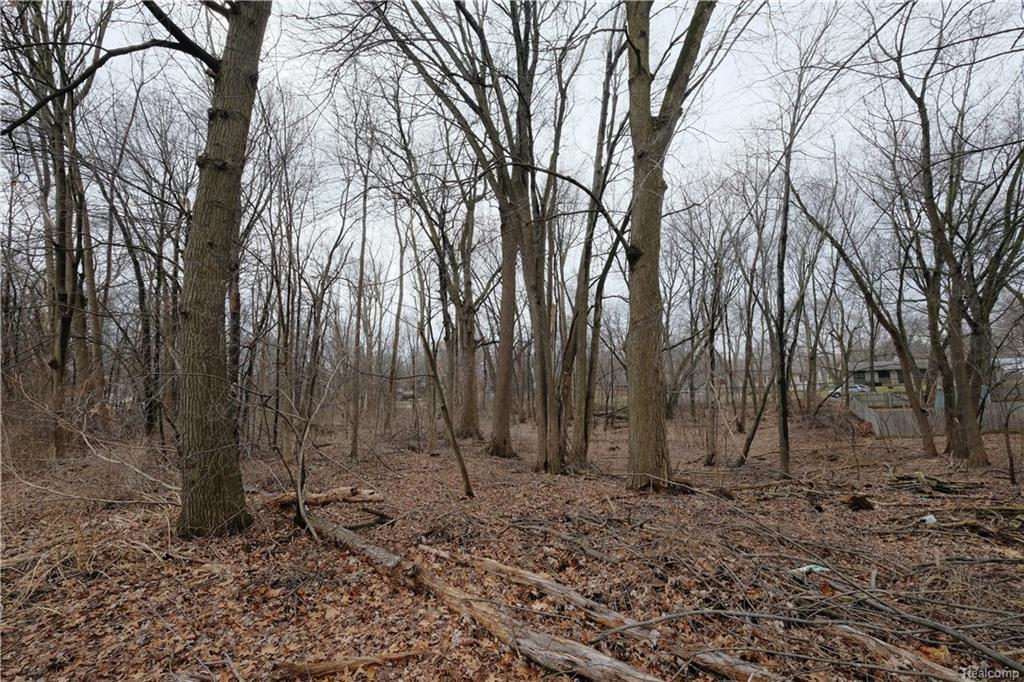 Lot 11 Cedar Avenue - Photo 1