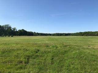 VL Smiths Creek Road - Photo 1